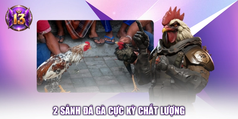 2 sảnh đá gà cực kỳ chất lượng