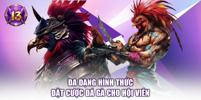 Đa dạng hình thức đặt cược đá gà cho hội viên