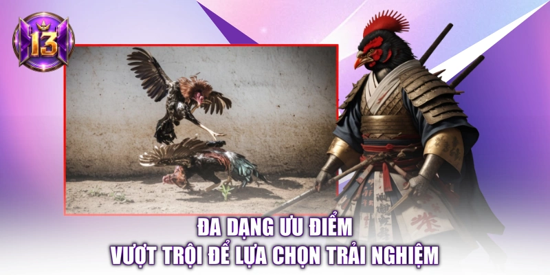 Đa dạng ưu điểm vượt trội để lựa chọn trải nghiệm