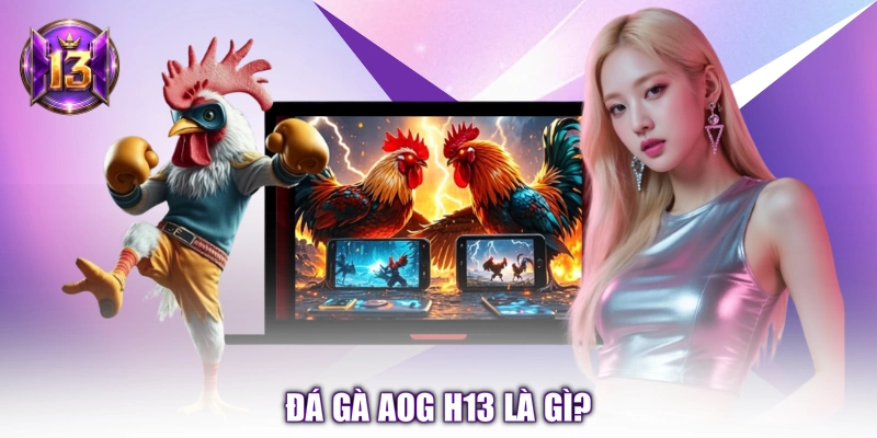 Đá gà AOG H13 là gì?