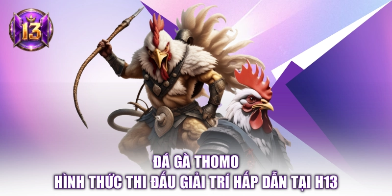 Đá Gà Thomo - Hình Thức Thi Đấu Giải Trí Hấp Dẫn Tại H13