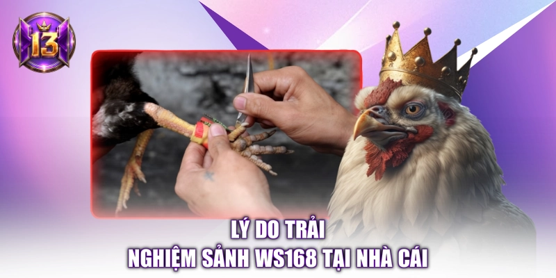 Lý do trải nghiệm sảnh WS168 tại nhà cái