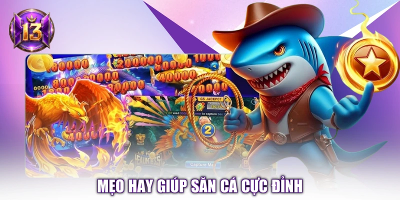 Mẹo hay giúp săn cá cực đỉnh