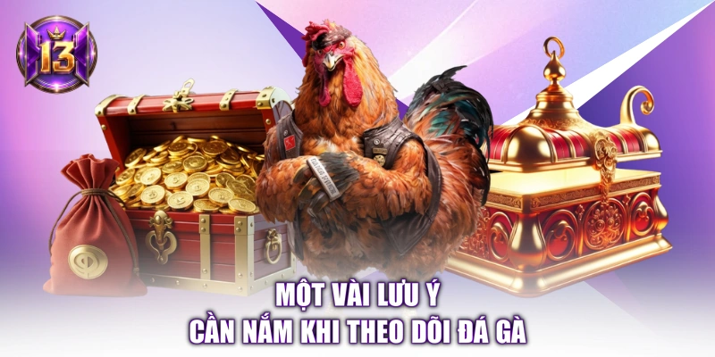 Một vài lưu ý cần nắm khi theo dõi đá gà