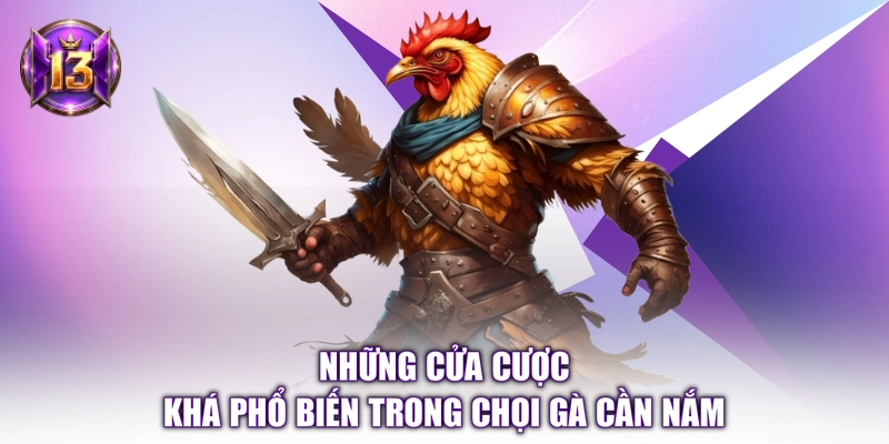 Những cửa cược khá phổ biến trong chọi gà cần nắm