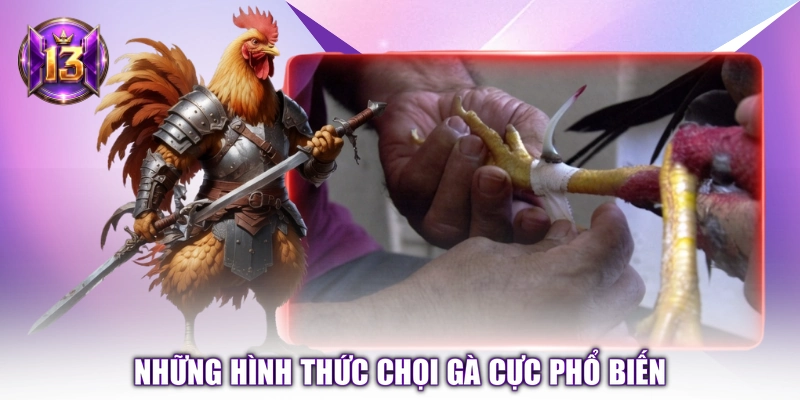 Những hình thức chọi gà cực phổ biến