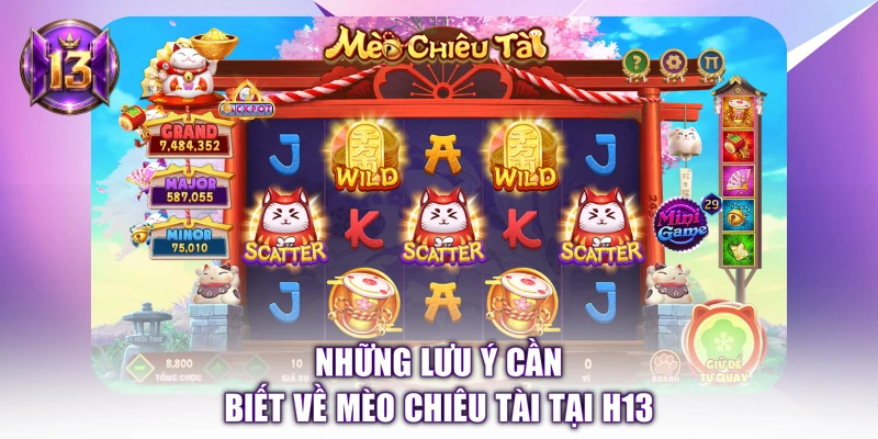 Những lưu ý cần biết về Mèo Chiêu Tài tại H13 