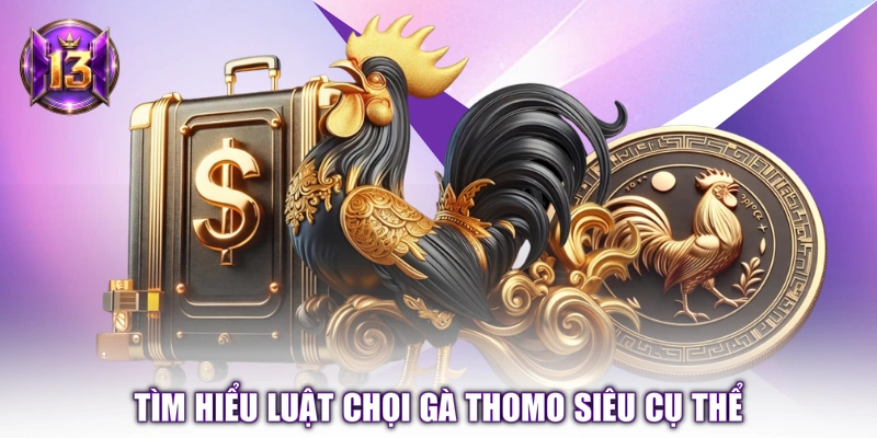 Tìm hiểu luật chọi gà Thomo siêu cụ thể