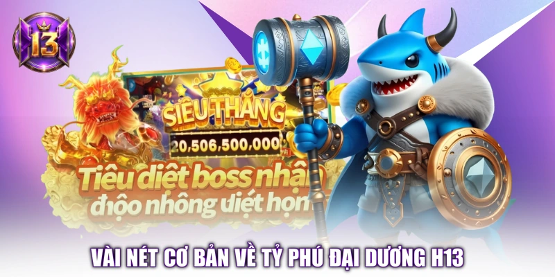 Vài nét cơ bản về Tỷ Phú Đại Dương H13