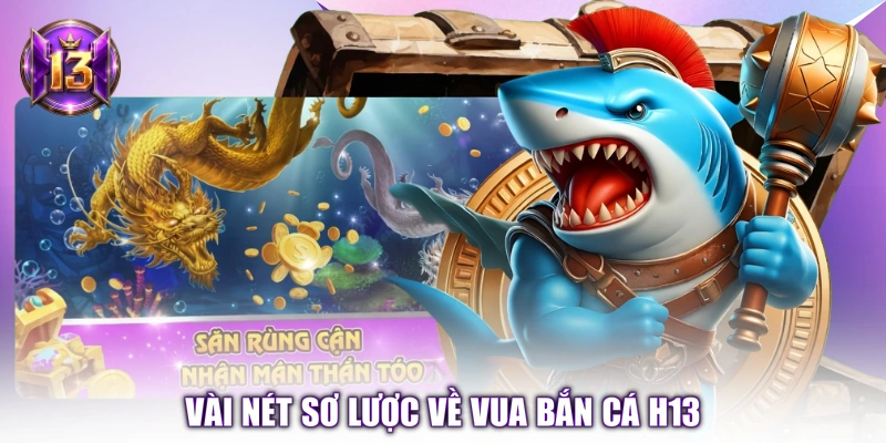 Vài nét sơ lược về Vua Bắn Cá H13