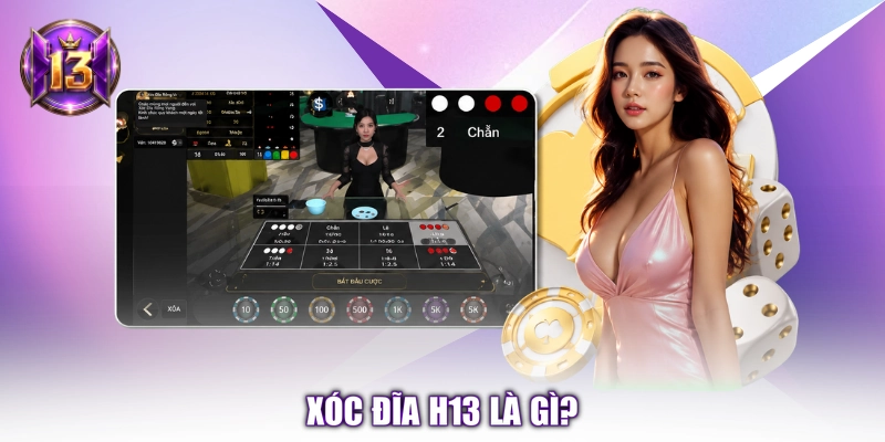 Xóc đĩa H13 là gì?